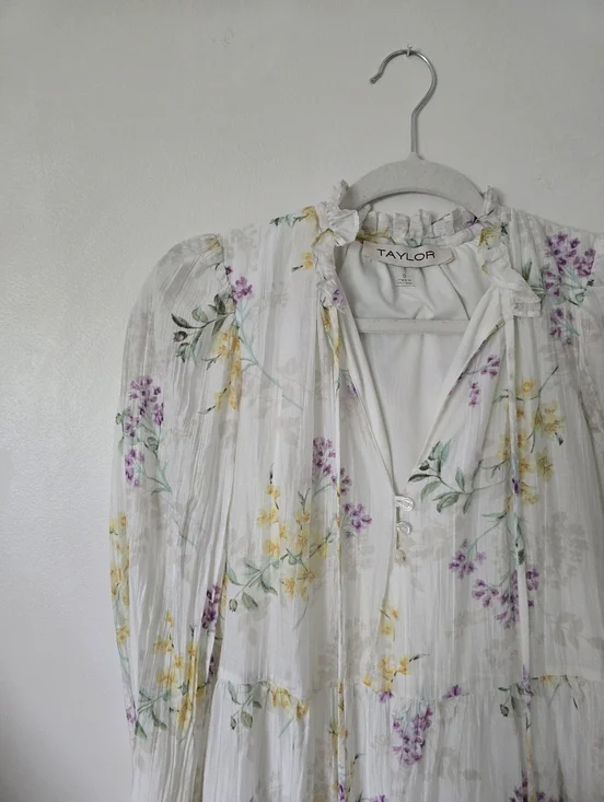 TAYLOR size Small Ivory Floral Spring Long Sleeves Unlined Dress - Picture 4 of 9